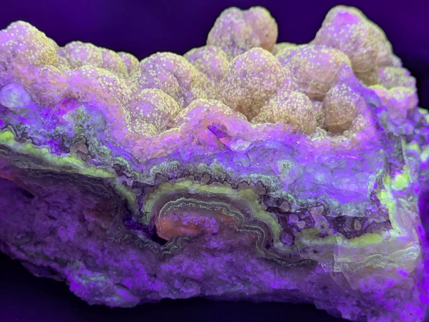 北海道石（現地にて撮影）