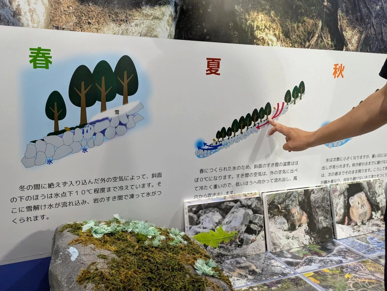 風穴の説明（現地にて撮影）