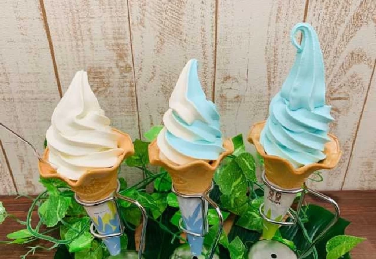 日本海ソフトクリーム