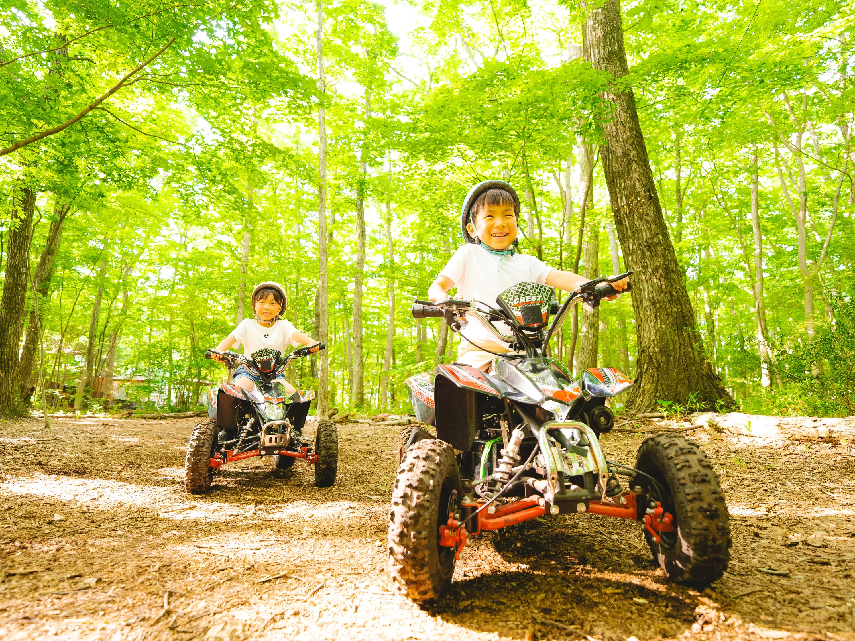森林バギー