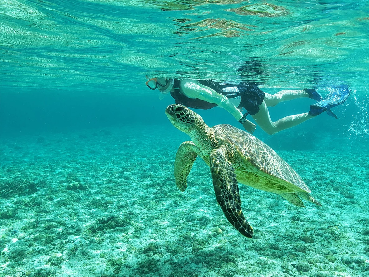 アクティビティー②