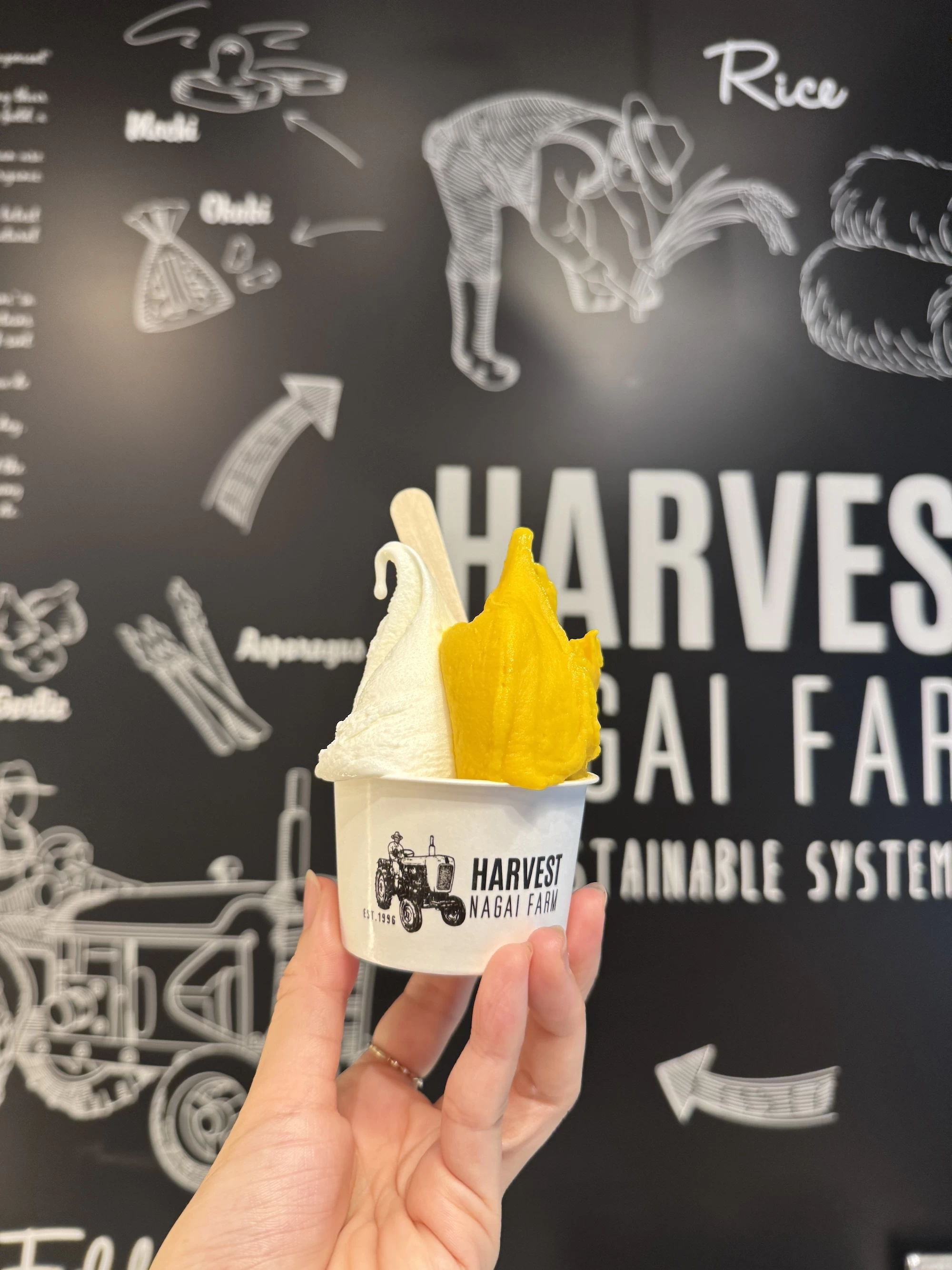 HARVEST NAGAI FARMのジェラート