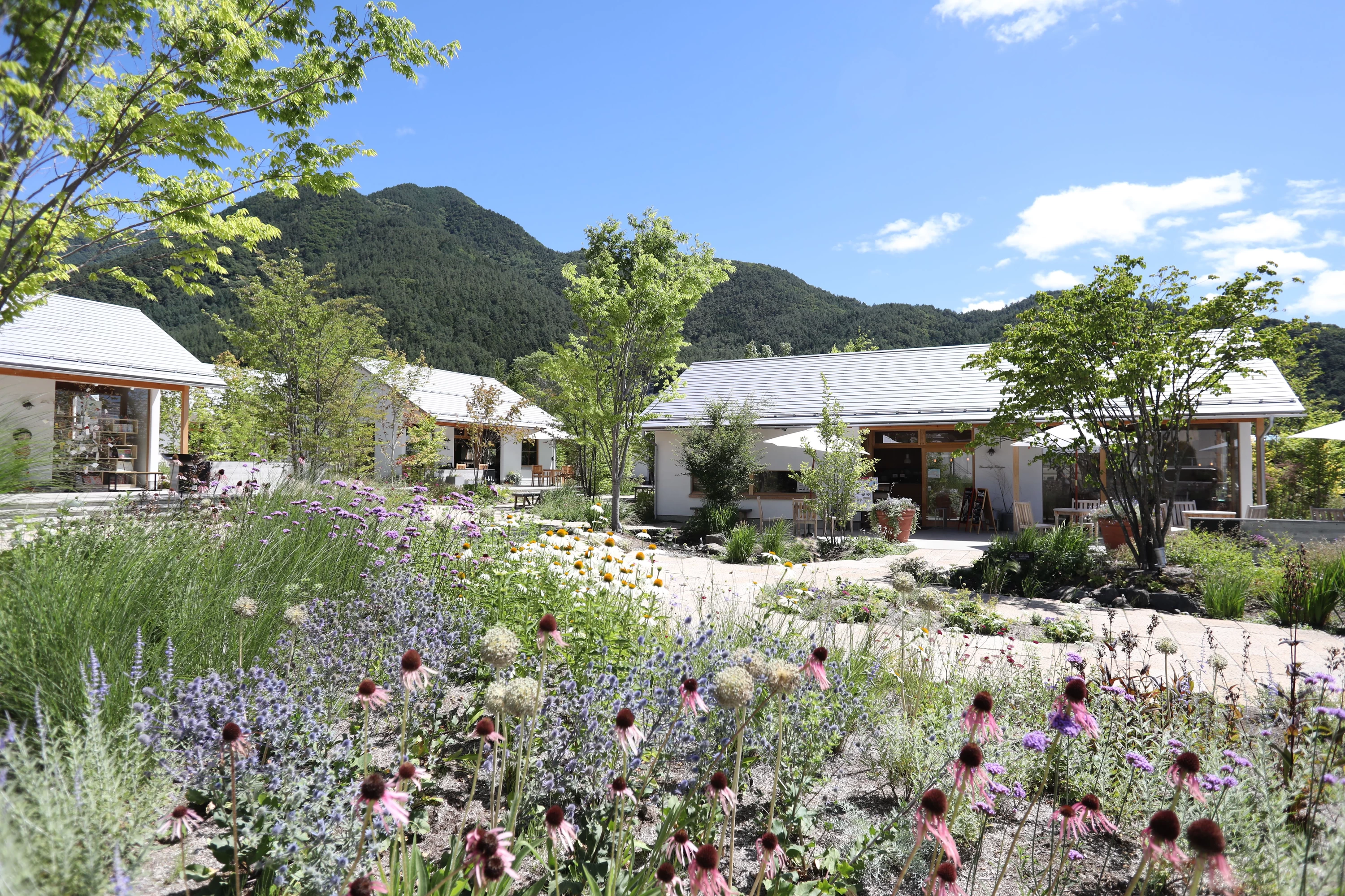 草花が見える歩道