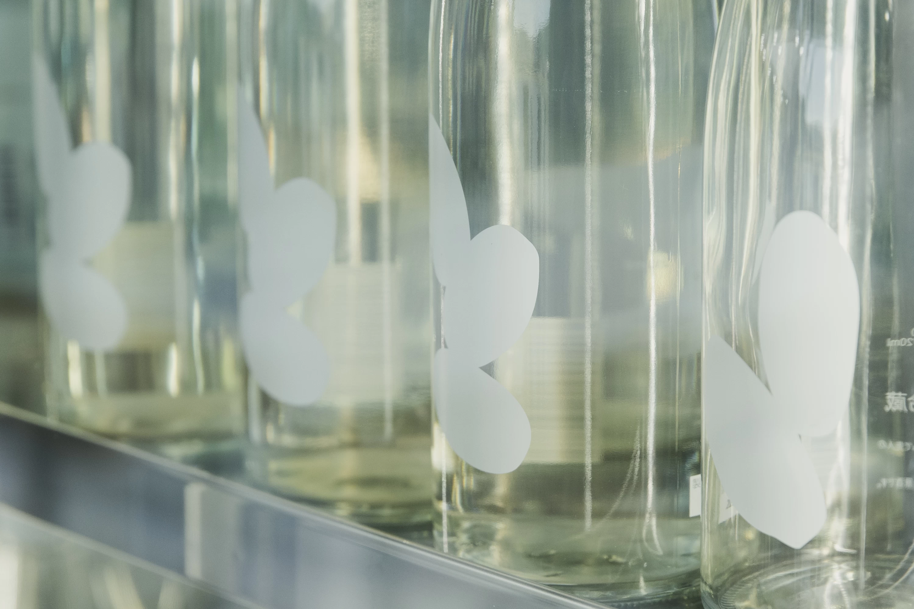 フルーティーで飲みやすいのが特徴