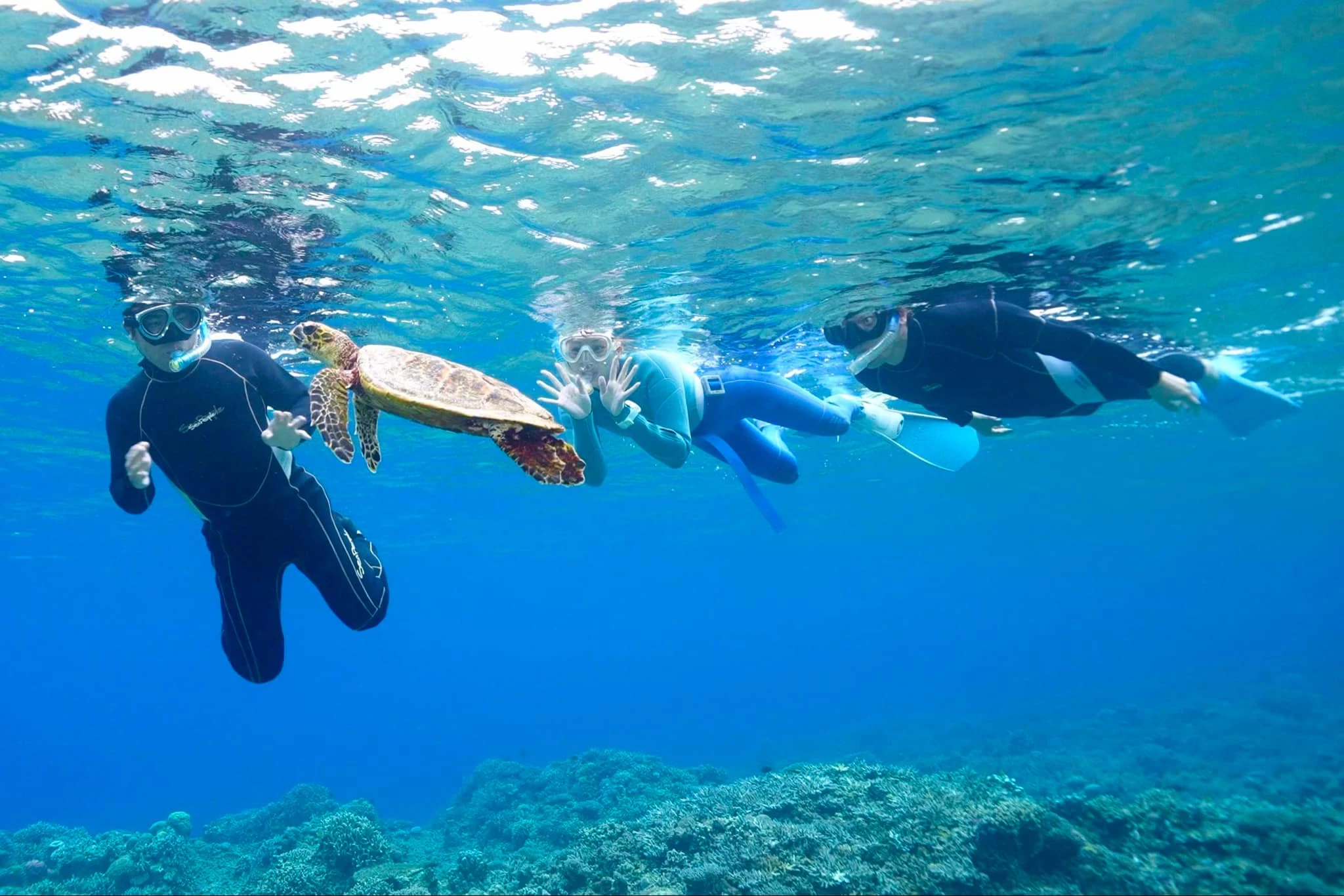 シュノーケルツアー