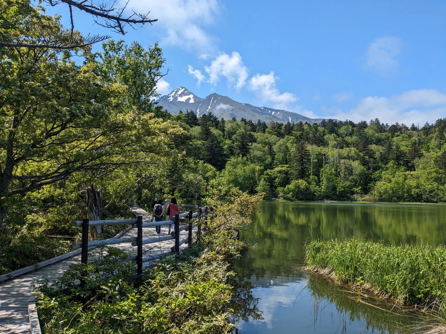 姫沼散策路（現地にて撮影）