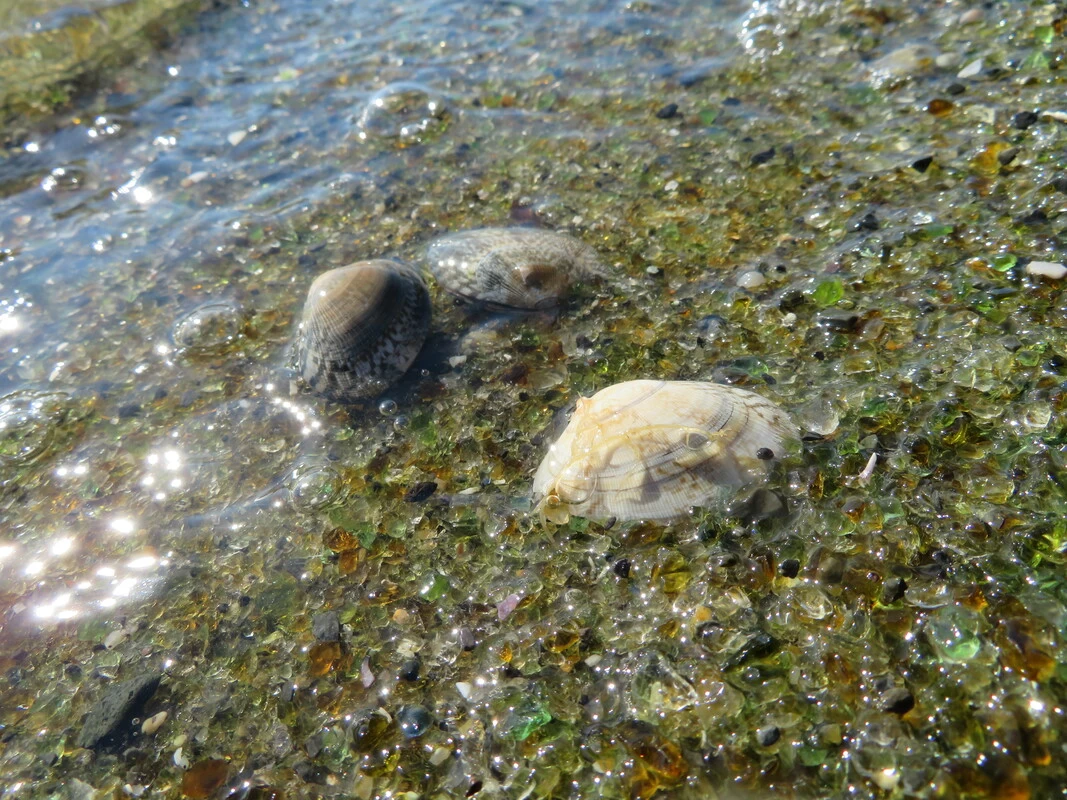 ガラスの砂浜③