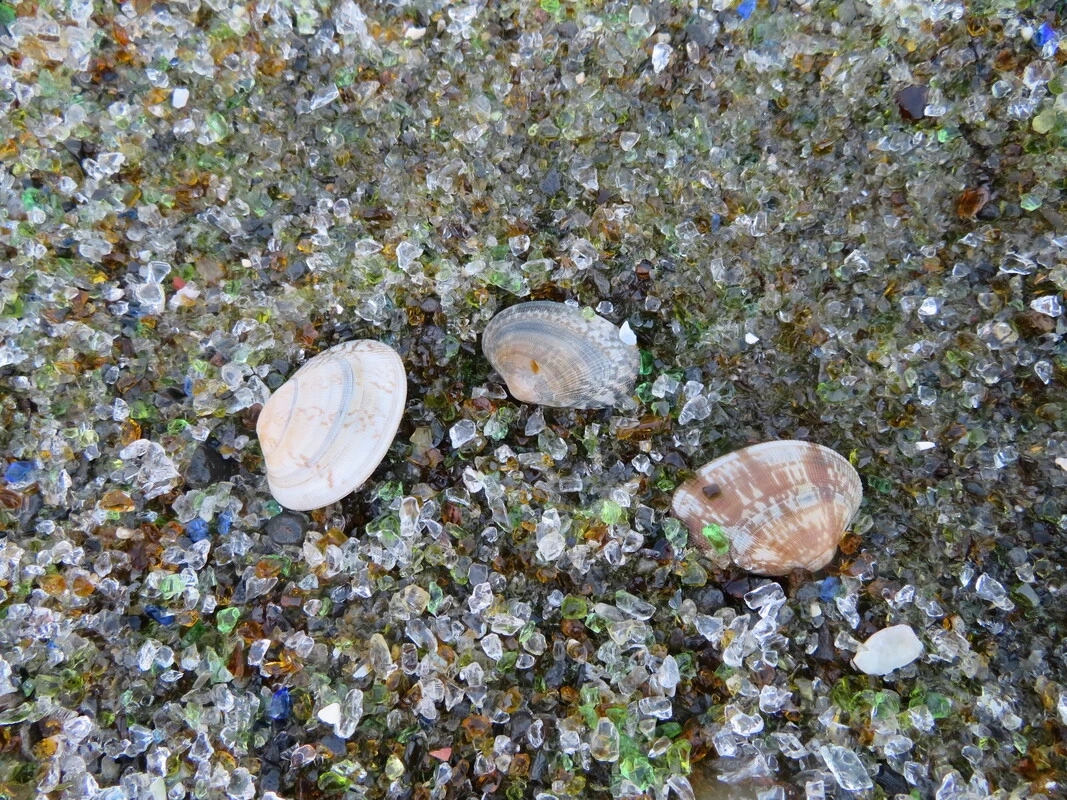 ガラスの砂浜⑤