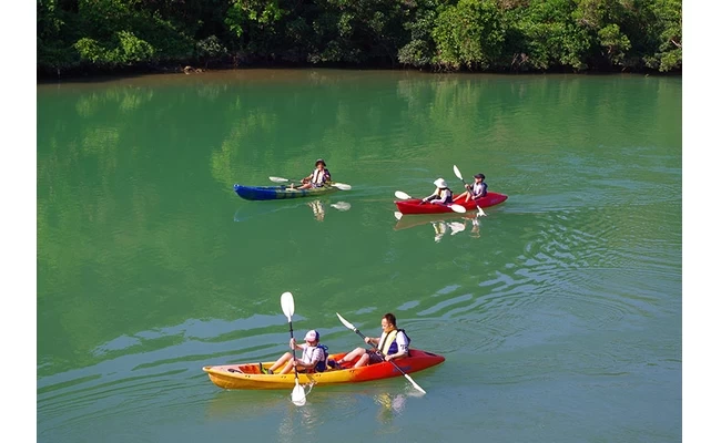 マングローブカヤック①