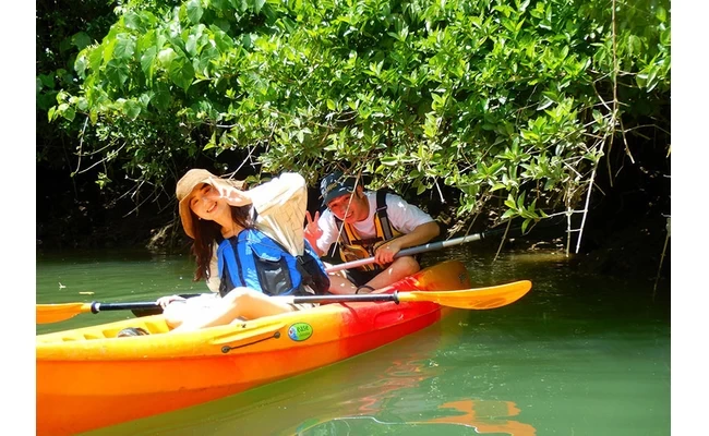 マングローブカヤック②