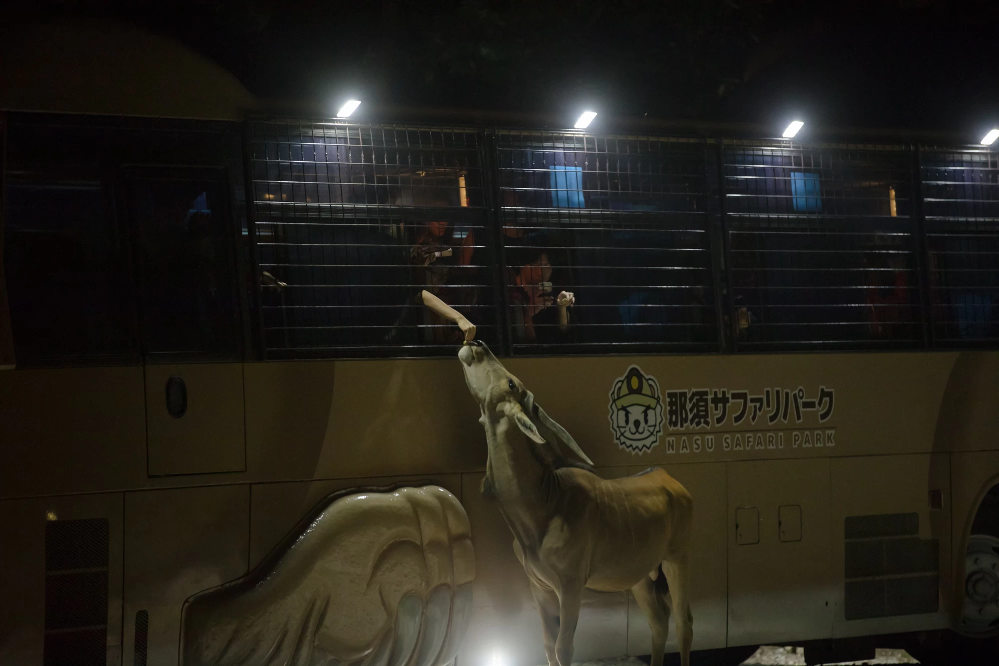 大型動物の大きさを間近で観察しながら、エサやりも可能（マイカー、サファリカーからは不可）