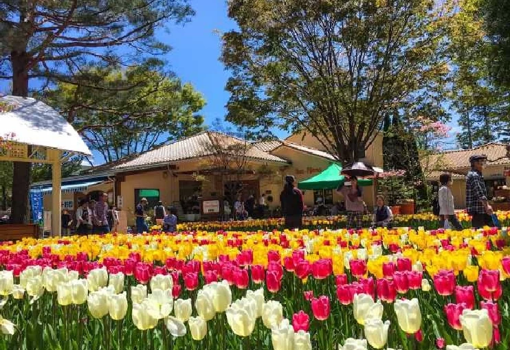 かんてんぱぱガーデン①