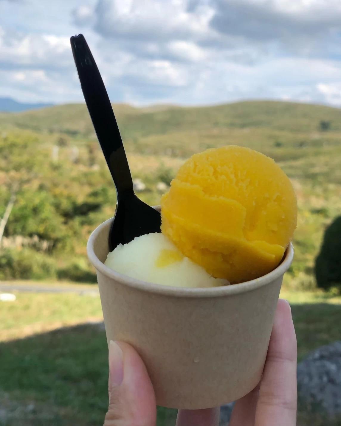 手作りシャーベット