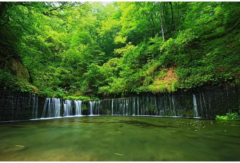 白糸の滝②