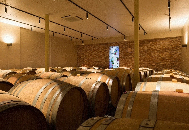 魅力的なワイナリーが見学できるツアー