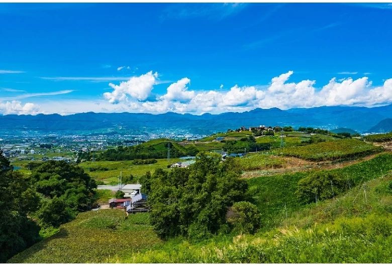 南アルプス・甲府盆地を一望