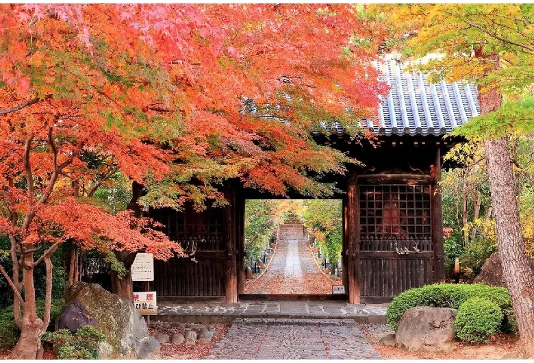 輪王寺②