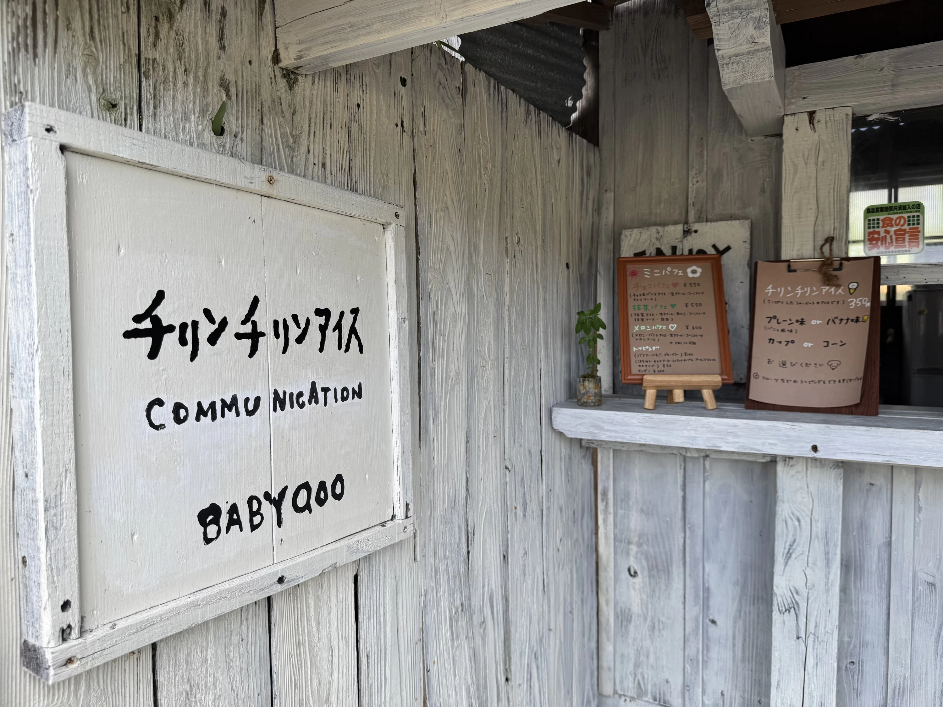 BABY QOO(現地にて撮影)