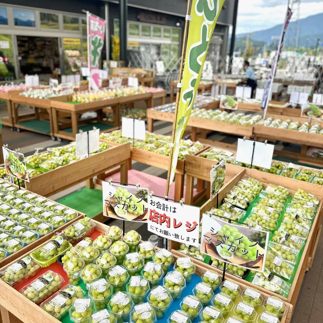旬の果物や野菜がずらり