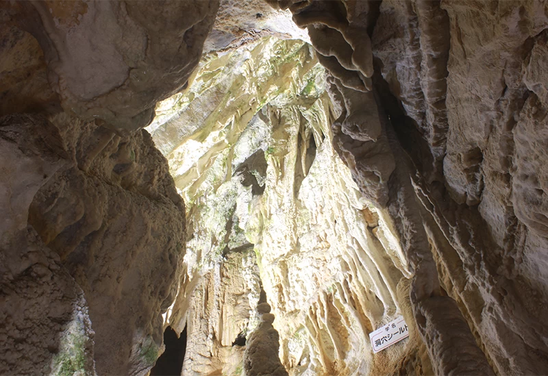 大胆な石の裂け目が見事な「月の世界」