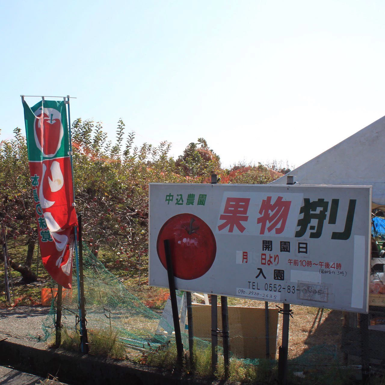 りんご狩り(10~11月)