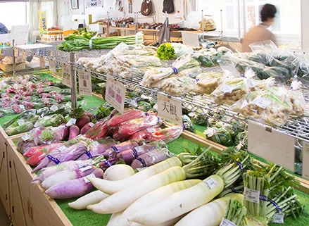 のっぷい野菜が並ぶ農産物直売所も併設