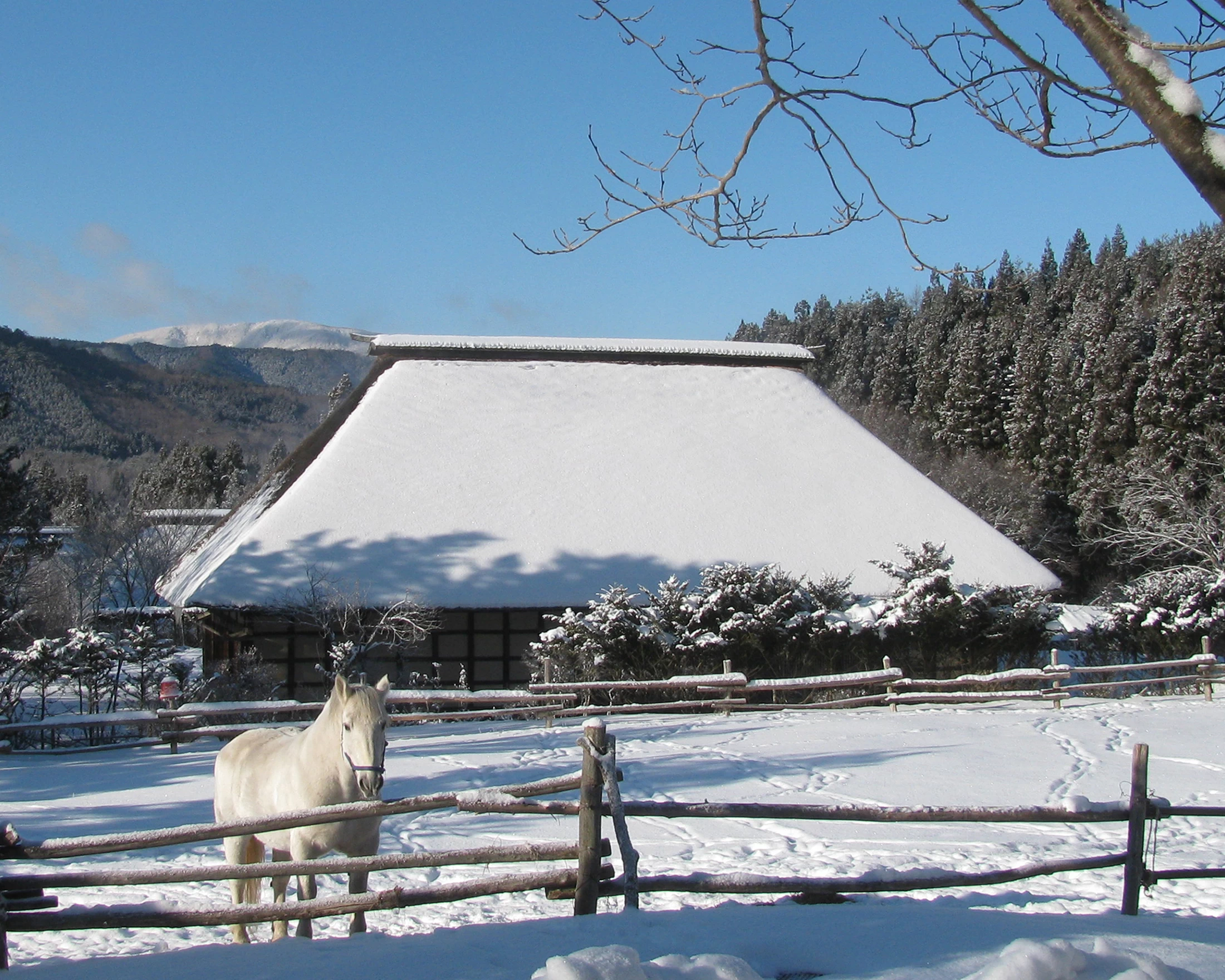 雪が降ると民話の挿絵のよう
