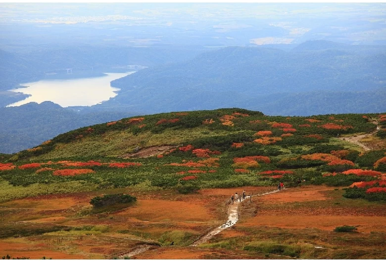 紅葉に彩られた旭岳