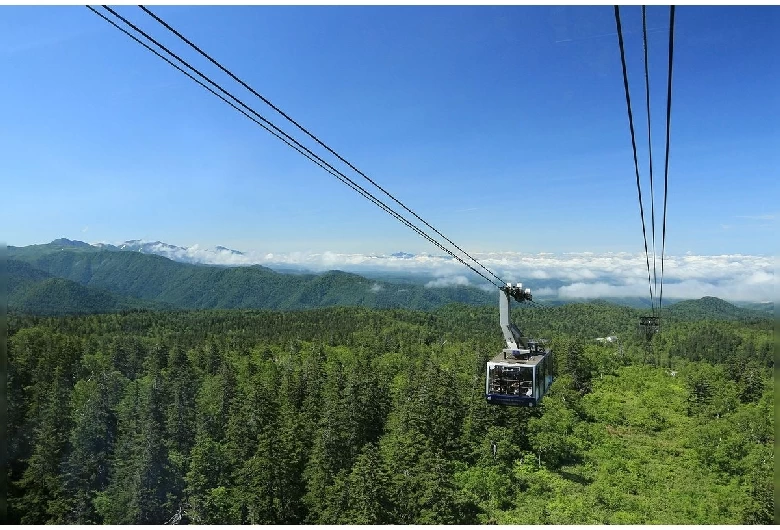 夏は緑が眩しい