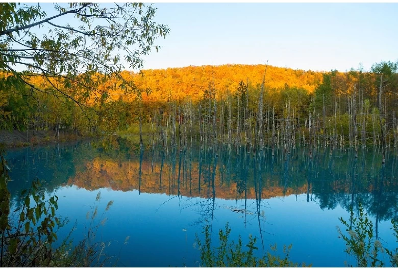 映り込みが美しい風景