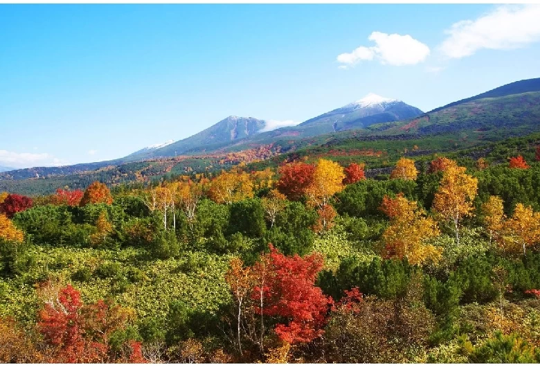 十勝岳望岳台（秋）