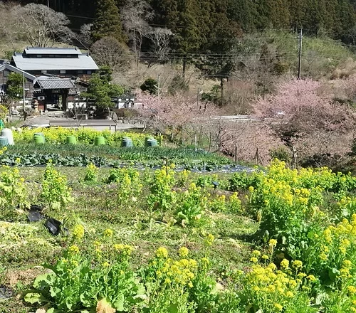 大自然の中に佇む一軒家レストラン