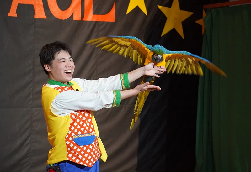 パフォーマンスショー