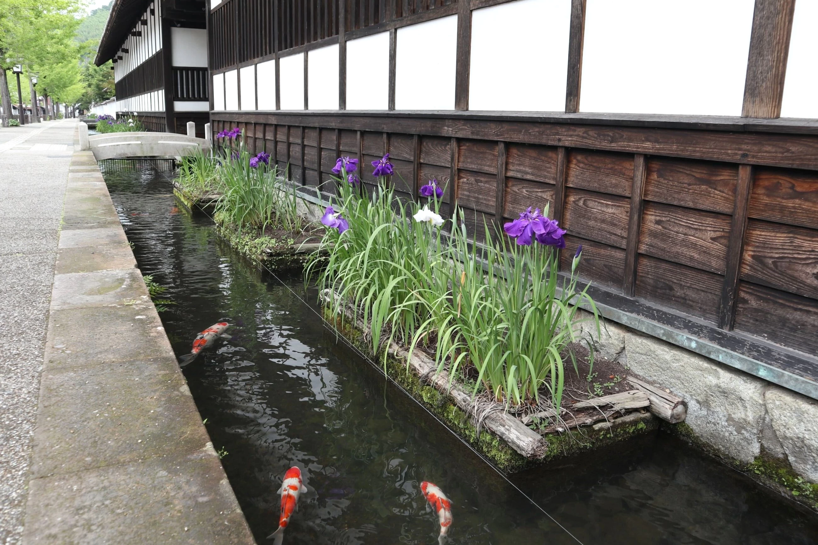山陰の小京都と呼ばれる（現地にて撮影）