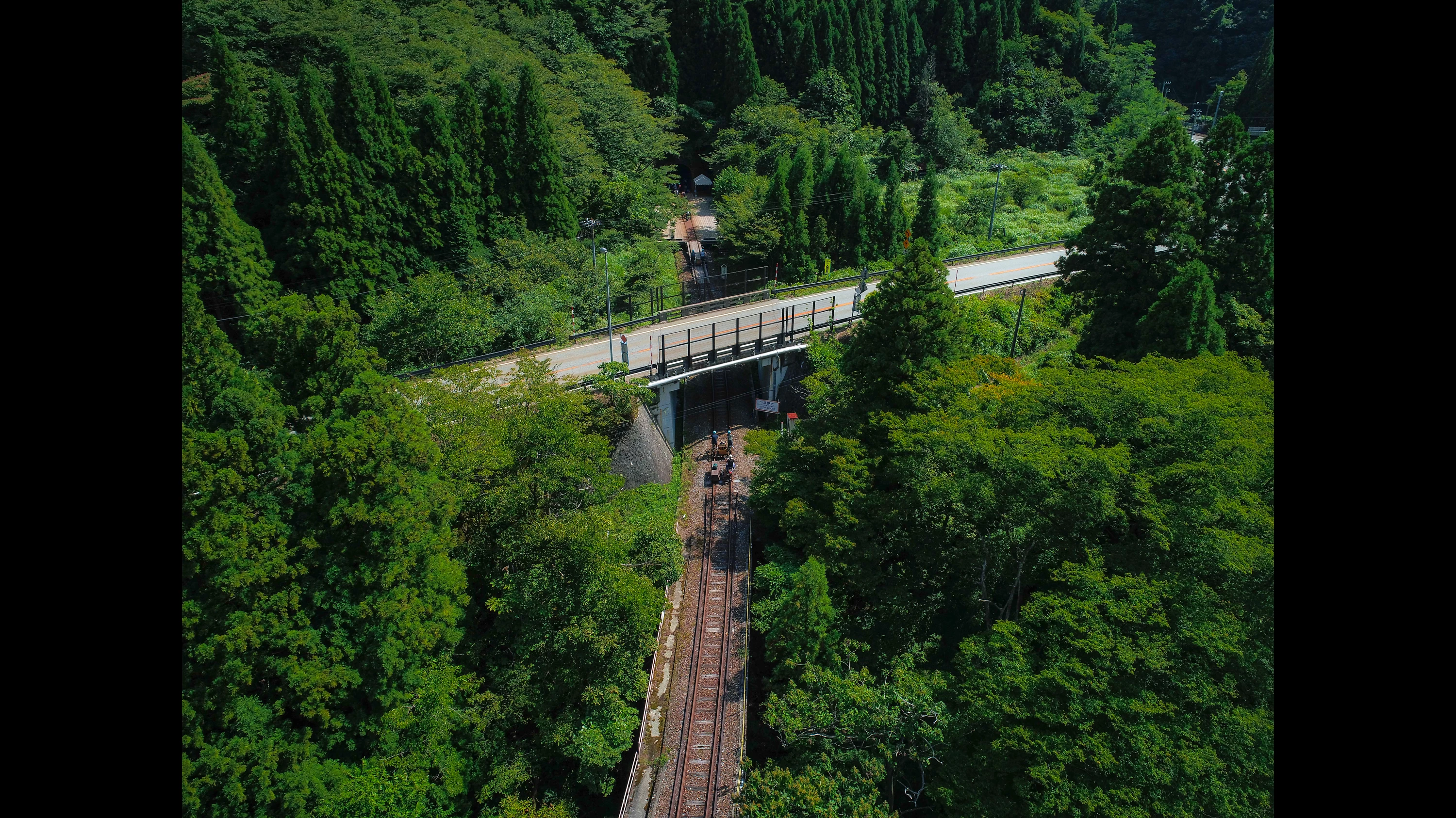 木々に囲まれた線路上を爽快に走る