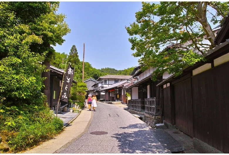 嵯峨鳥居本伝統的建造物群保存地区①