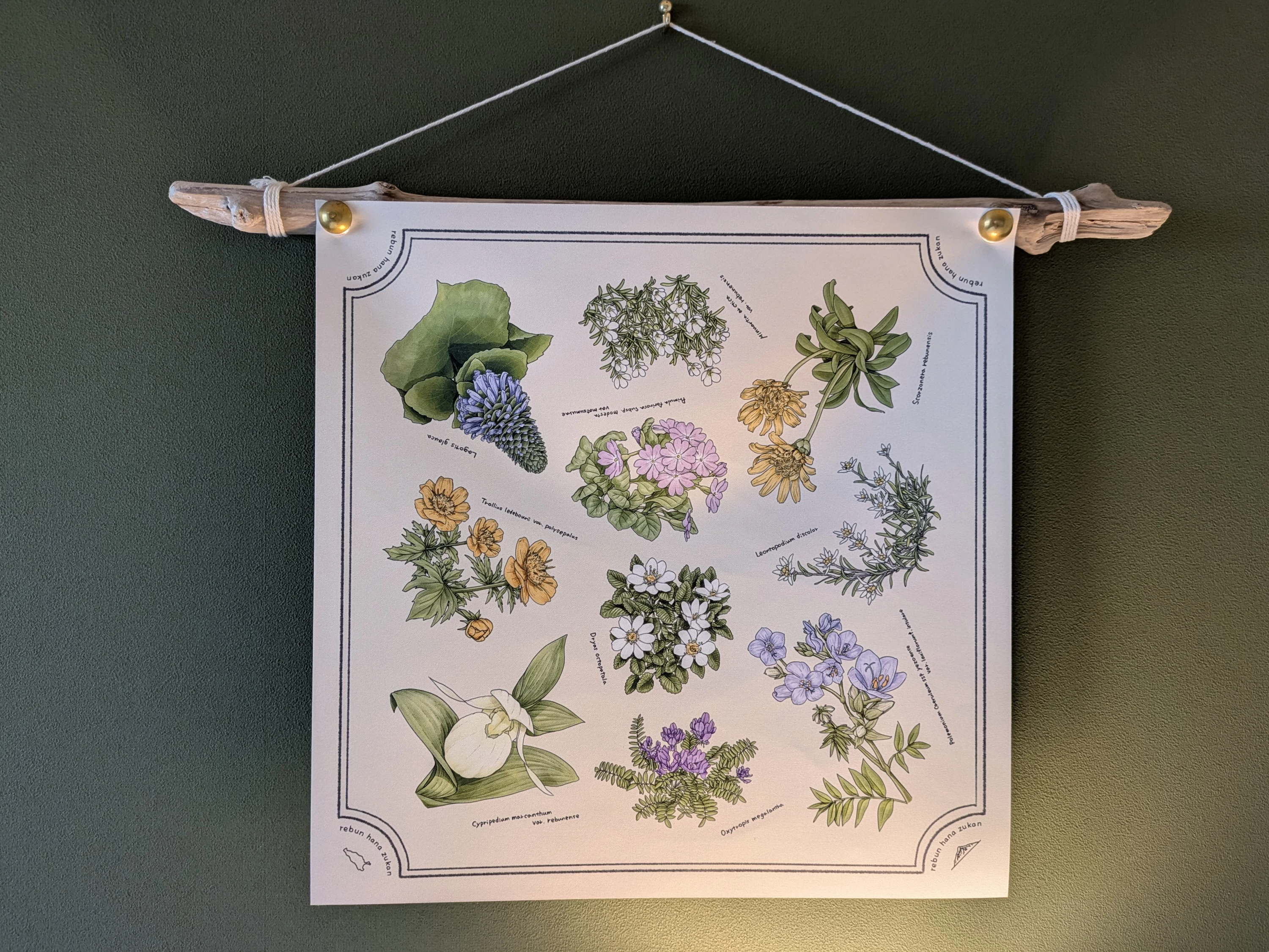 軸は海に漂着した流木を利用（現地にて撮影）