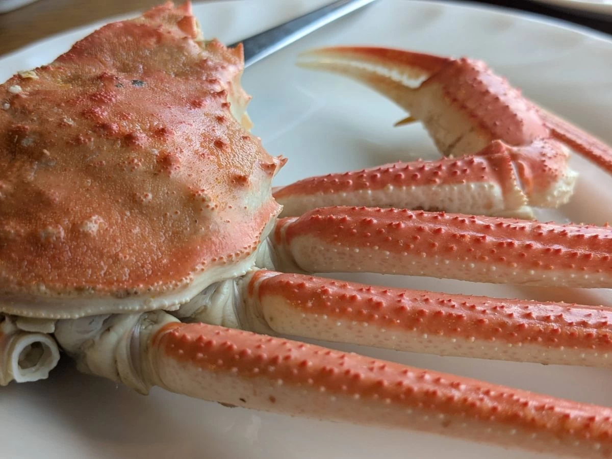 カニ（現地にて撮影）