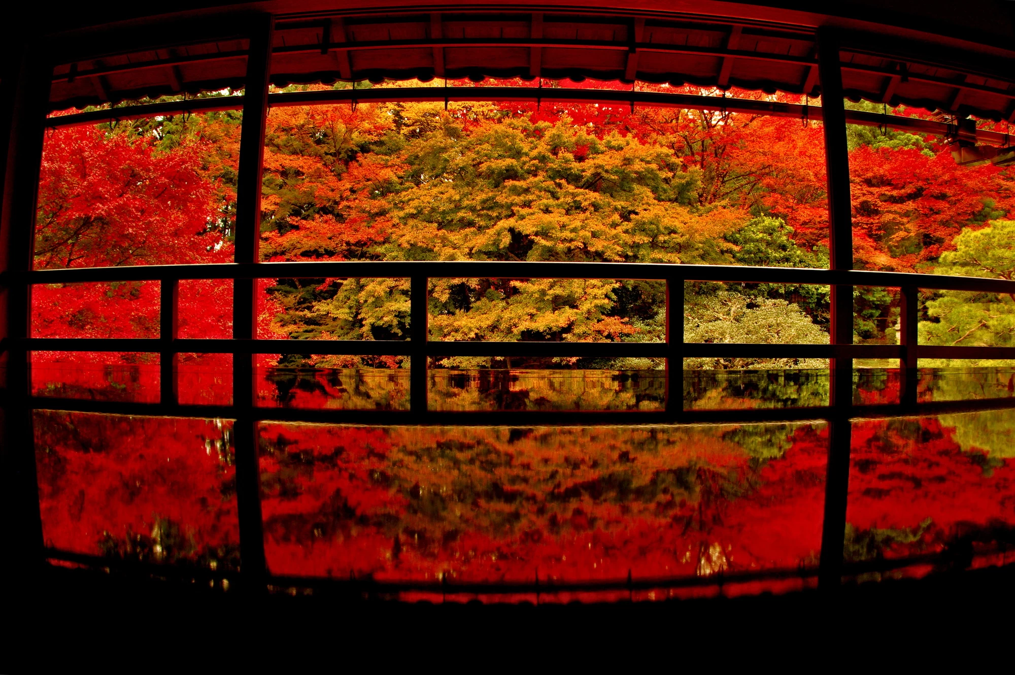 座卓に映り込む「逆さもみじ」②