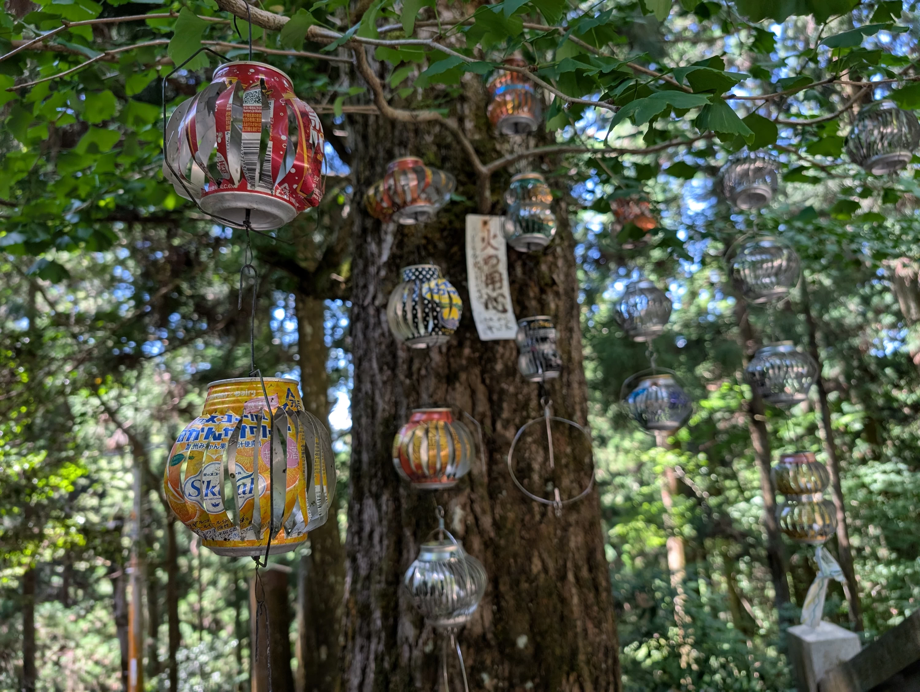 涼しげな装飾も（現地にて撮影）