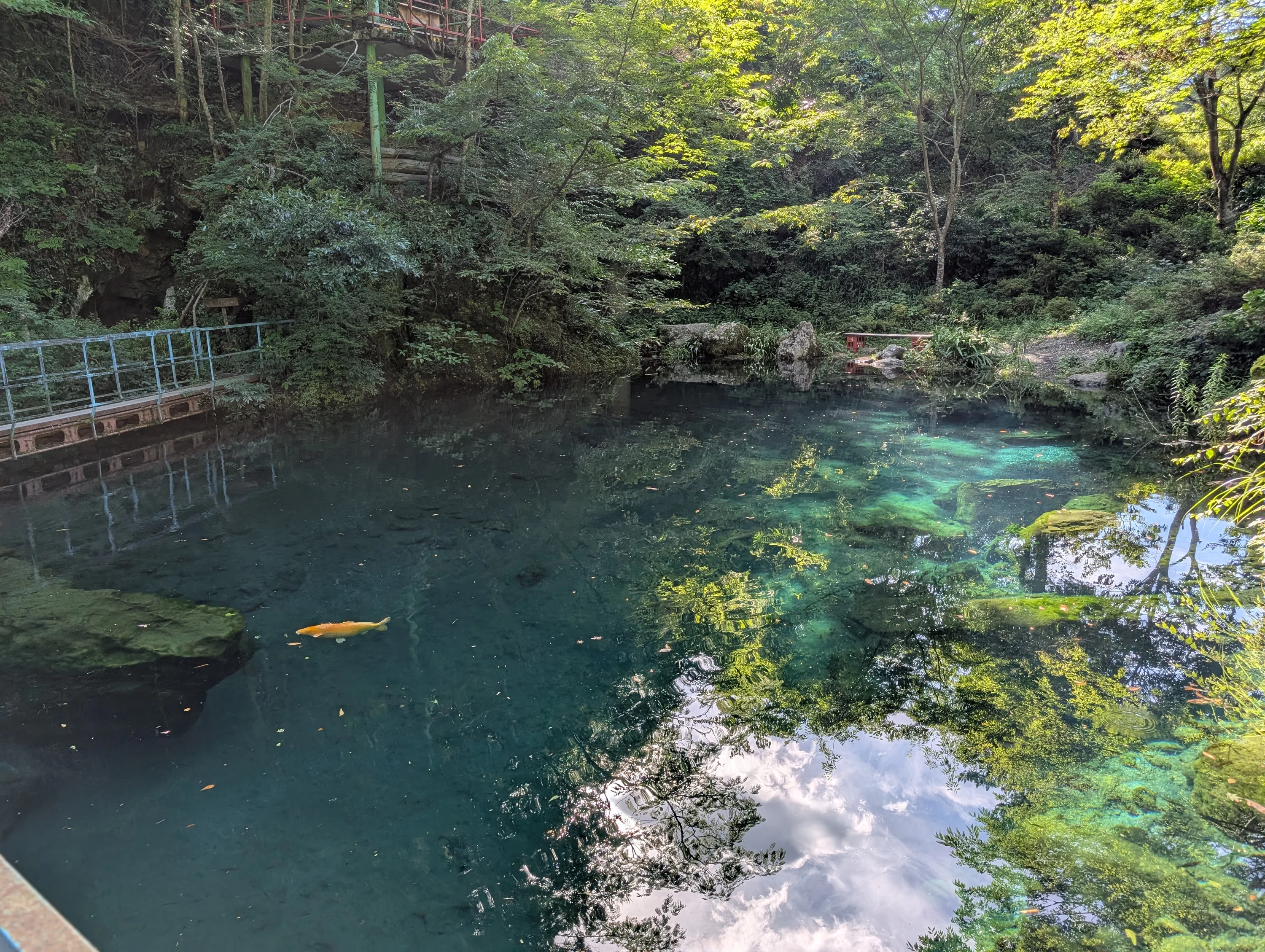 光によって見え方が変わる（現地にて撮影）
