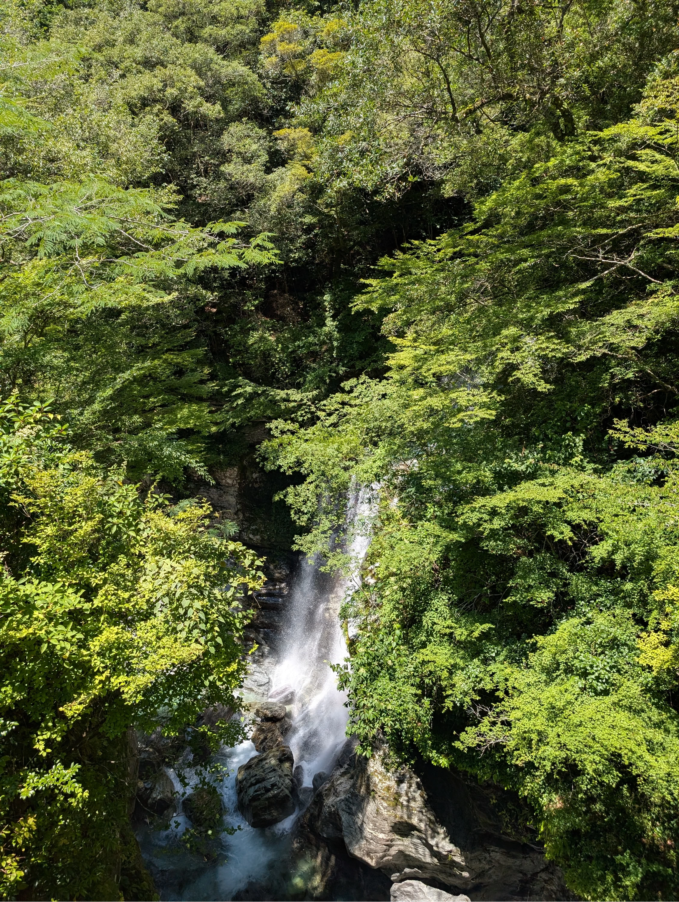 飛龍の滝（現地にて撮影）