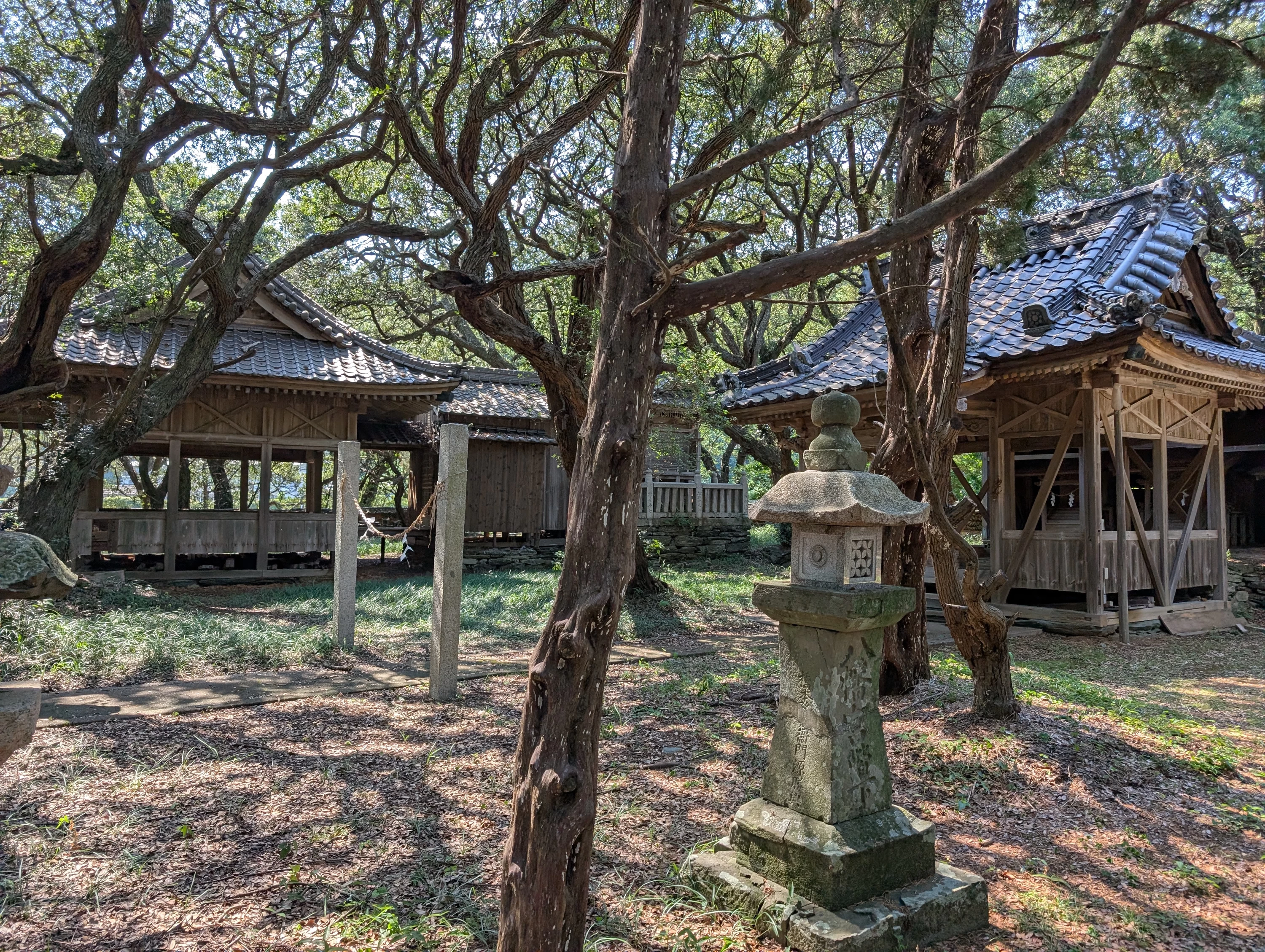 境内（現地にて撮影）