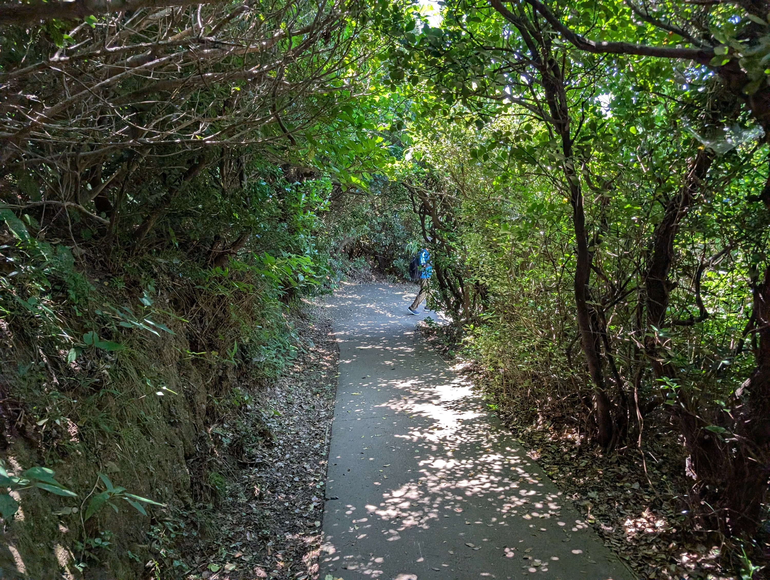 行きは下り、帰りは登り（現地にて撮影）