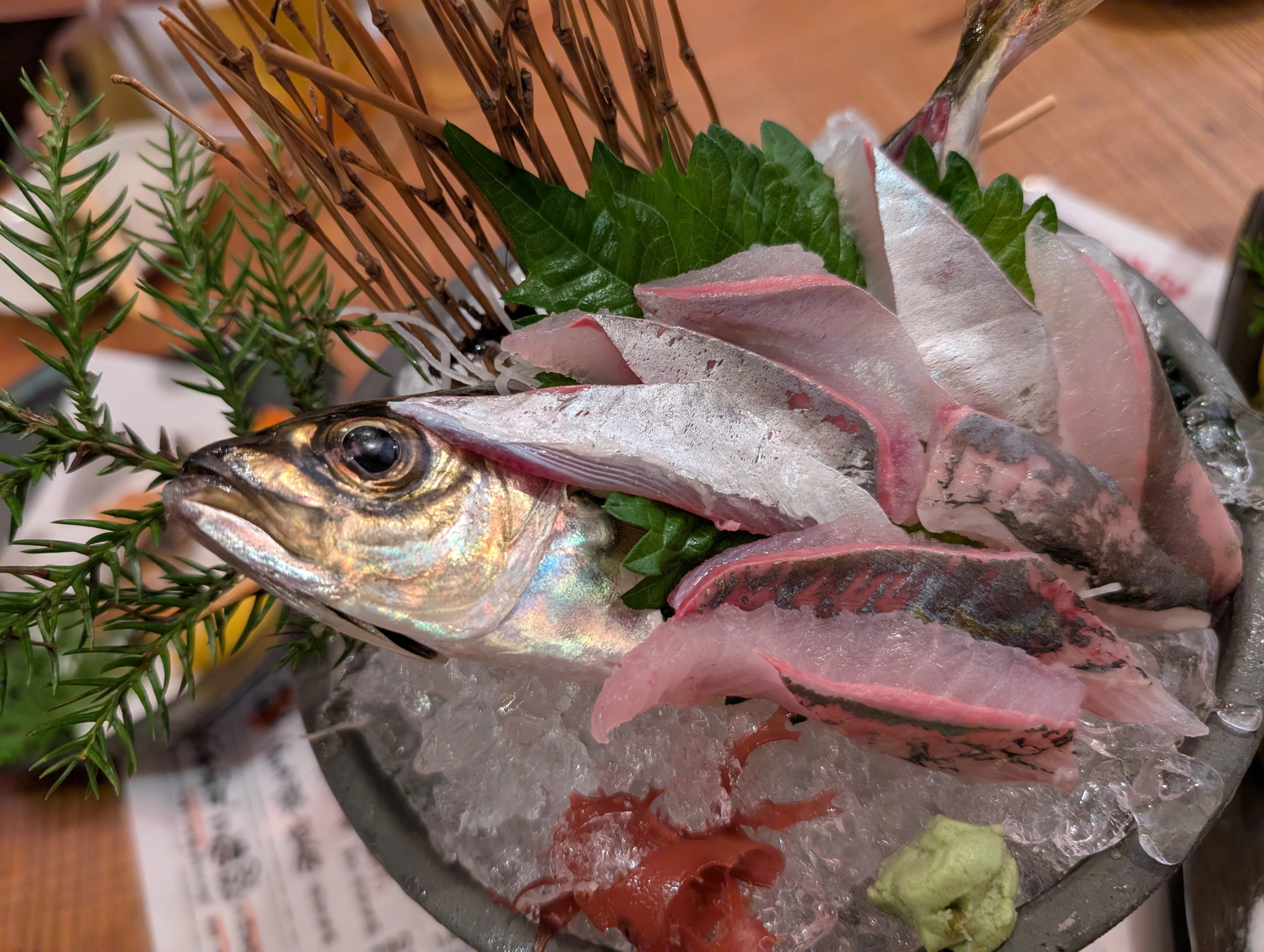 お造り（現地にて撮影）