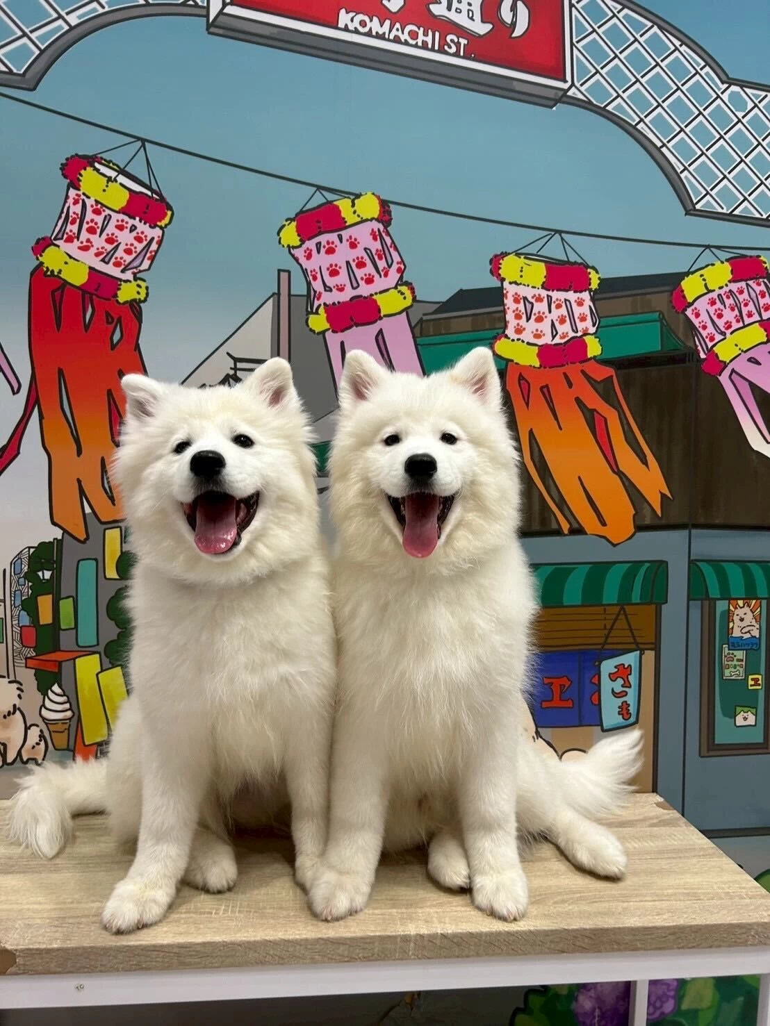 小町通りを背景に