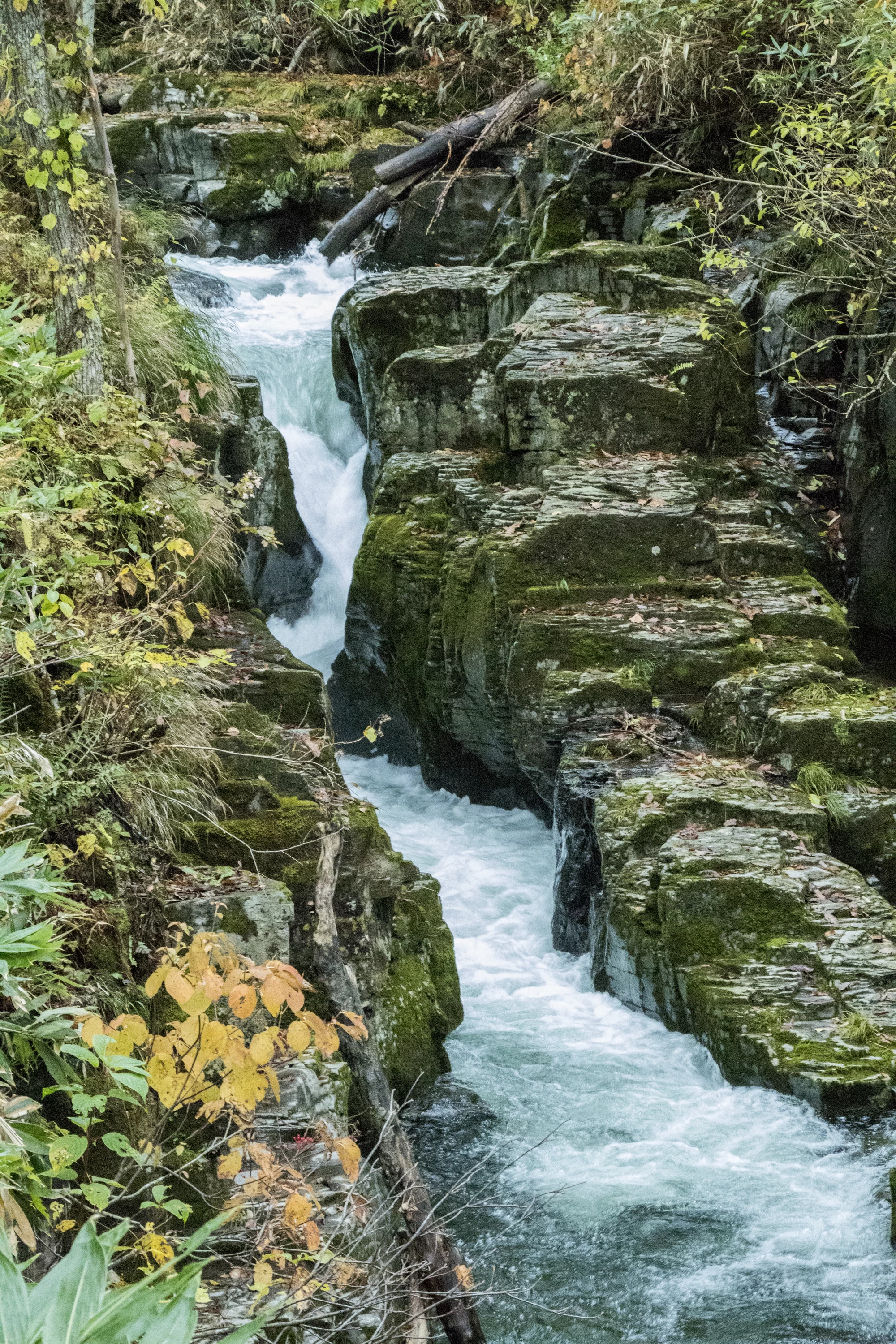激流の滝
