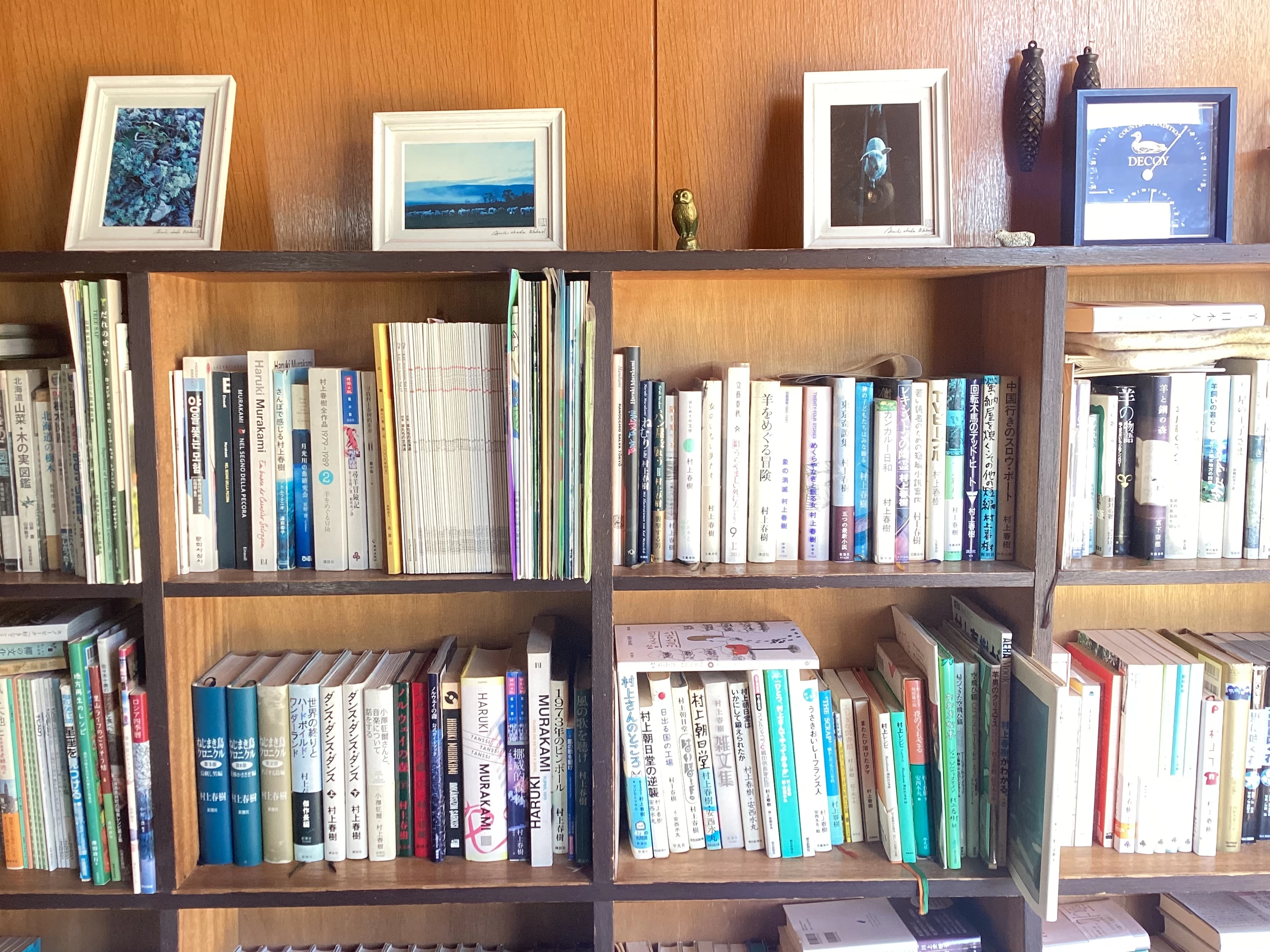 本棚には羊や自然関連の書籍が豊富に