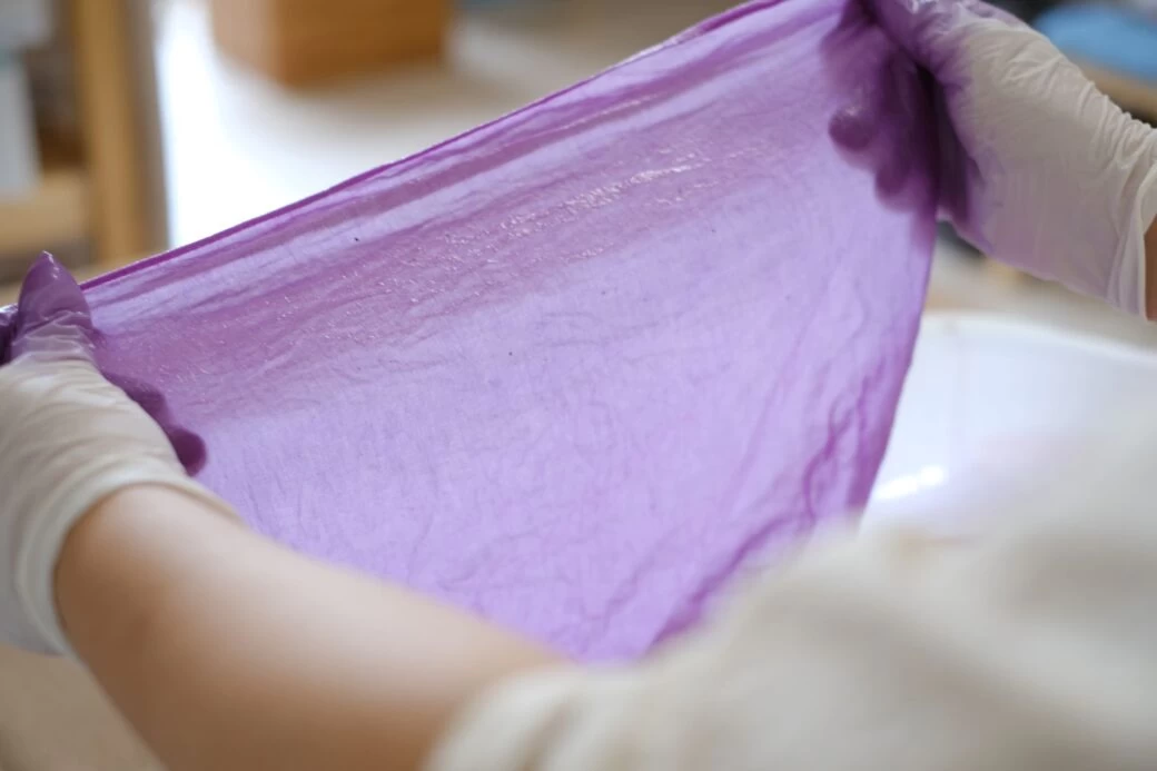 絶滅危惧1B類に指定されている「ムラサキ」を使った染色体験（現地にて撮影）