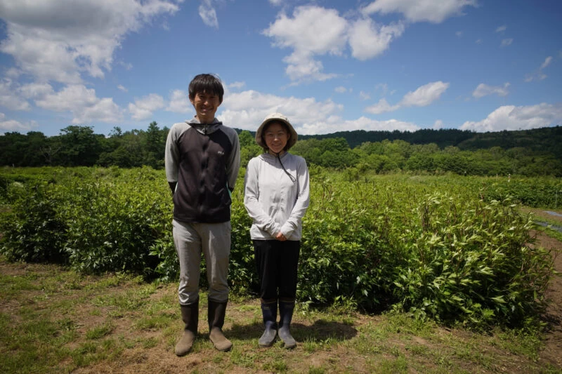 夏の薬草畑と日向さん夫妻（現地にて撮影）